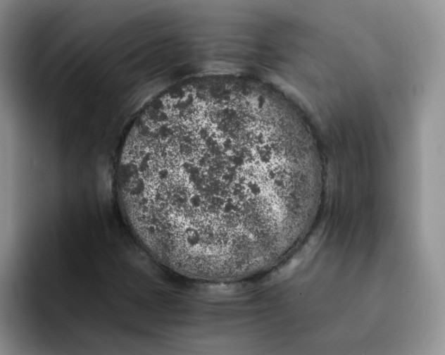 X0000091651401200709201118