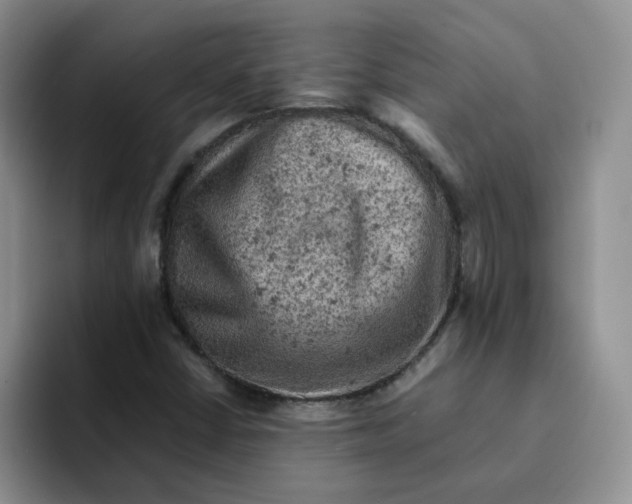 X0000091651402200709201118