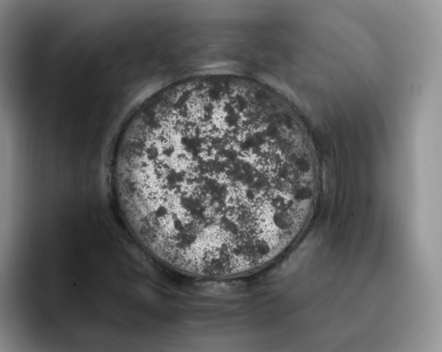 X0000091651405200709201118