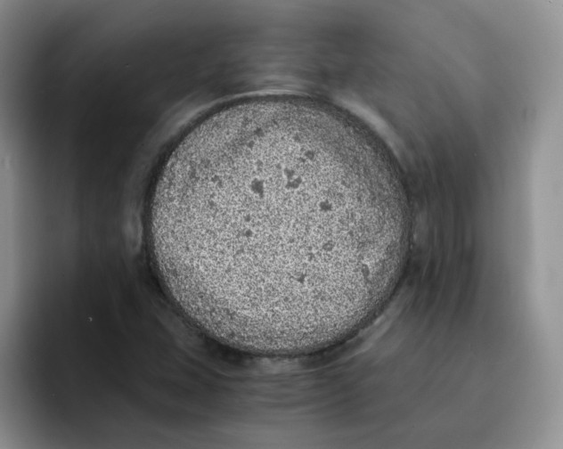 X0000091651407200709201118