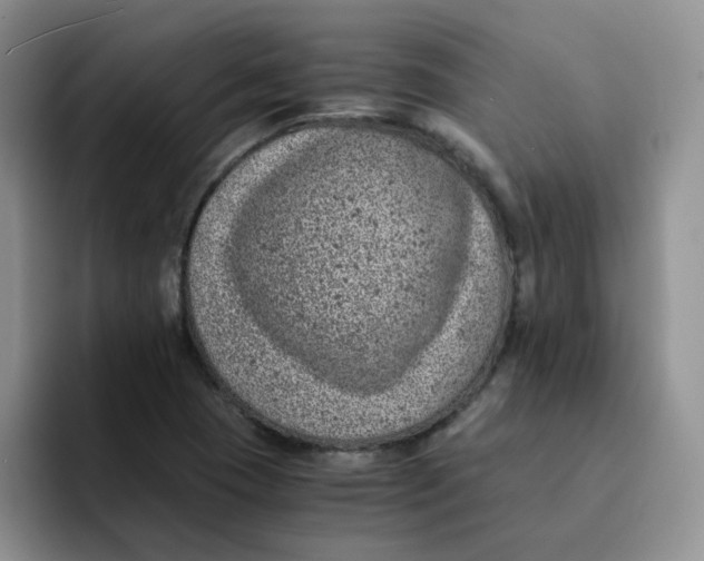 X0000091651409200709201118