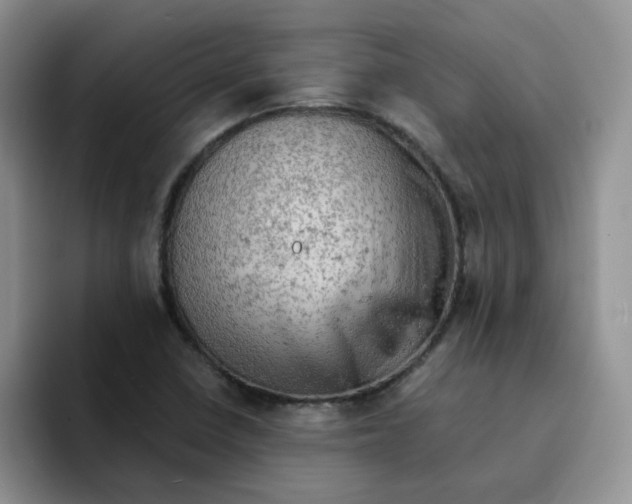 X0000091651410200709201118