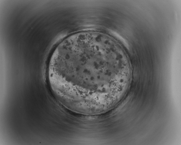 X0000091651411200709201118