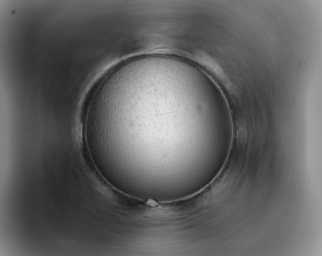 X0000091651414200709201118