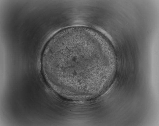 X0000091651415200709201118