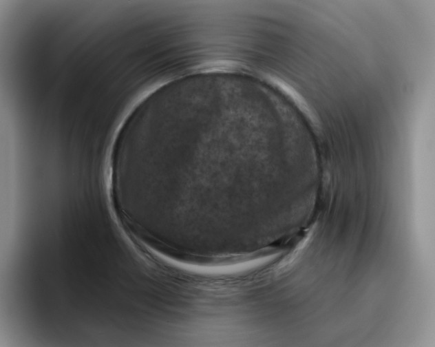 X0000091651418200709201118