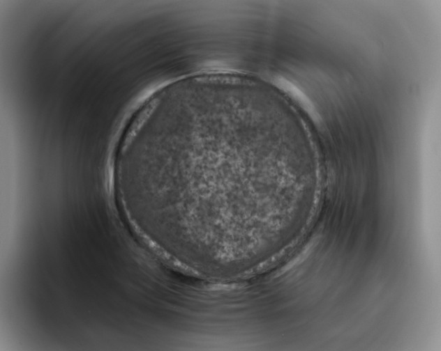 X0000091651419200709201118