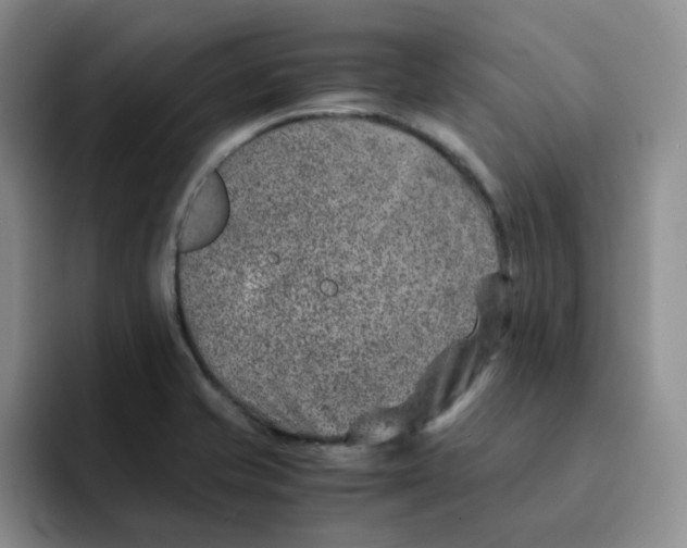 X0000091651421200709201118