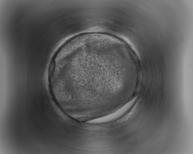 X0000091651422200709201118