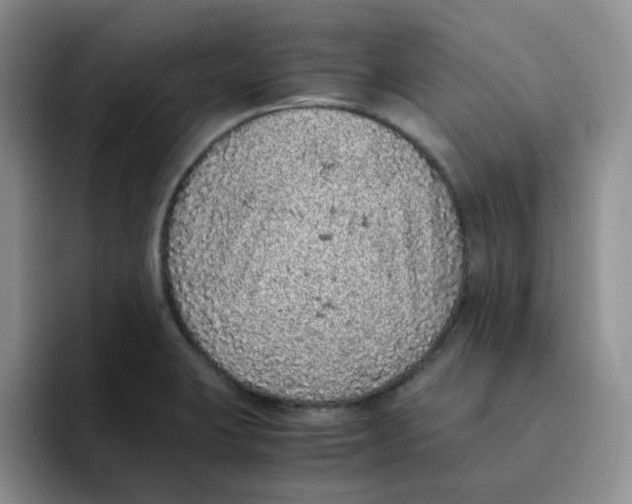 X0000091651423200709201118