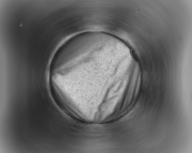 X0000091651424200709201118