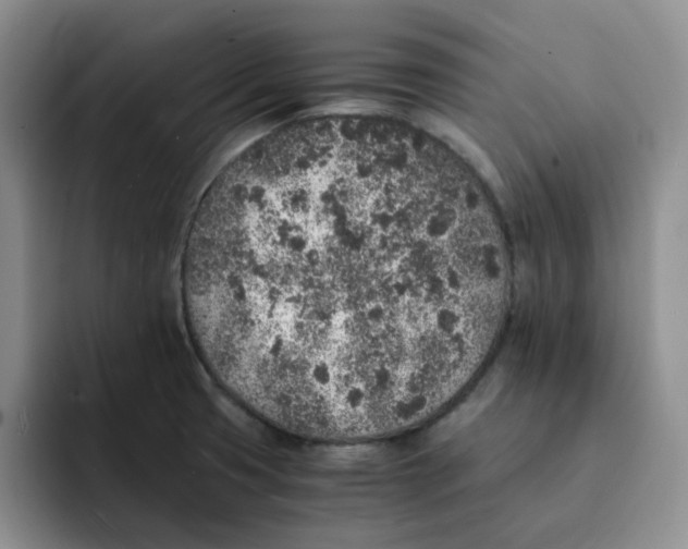 X0000091651425200709201118