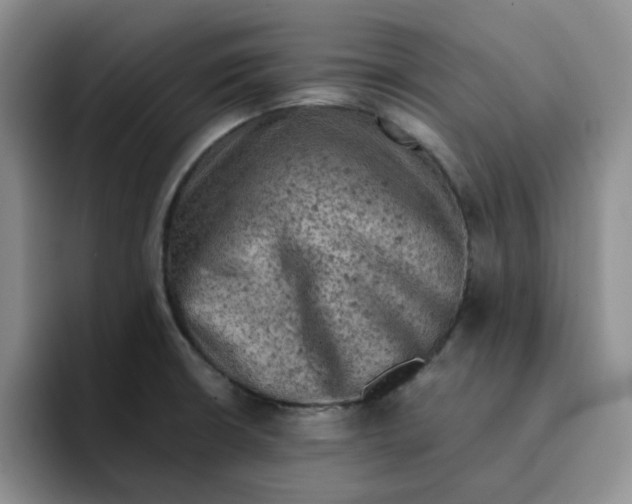 X0000091651426200709201118