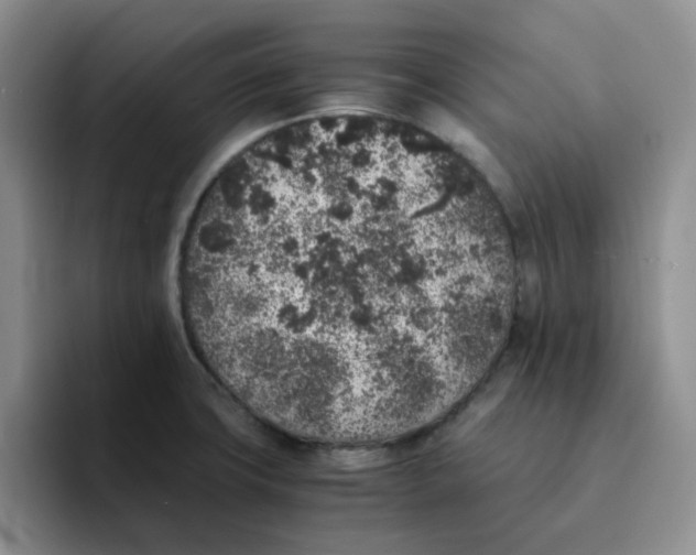 X0000091651427200709201118