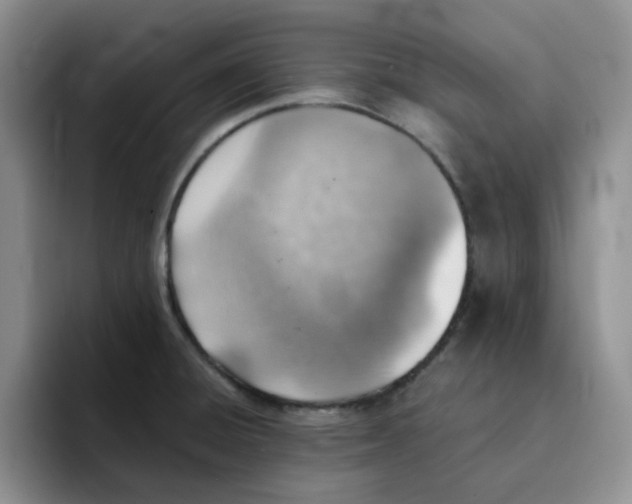 X0000091651428200709201118