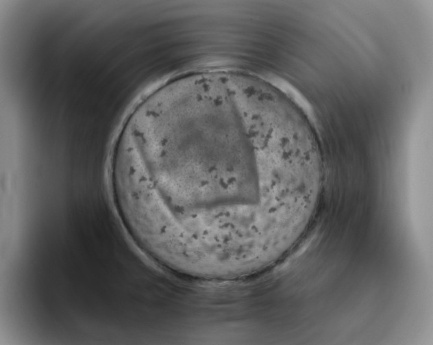 X0000091651429200709201118