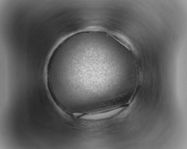 X0000091651430200709201118