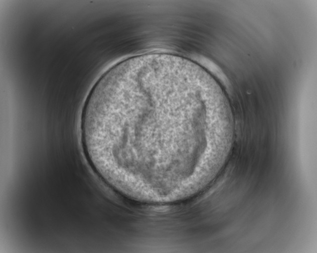 X0000091651431200709201118