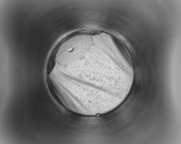 X0000091651432200709201118