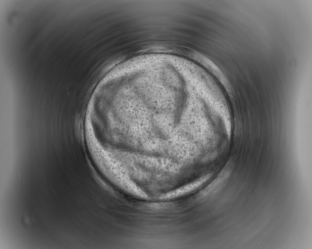 X0000091651433200709201118