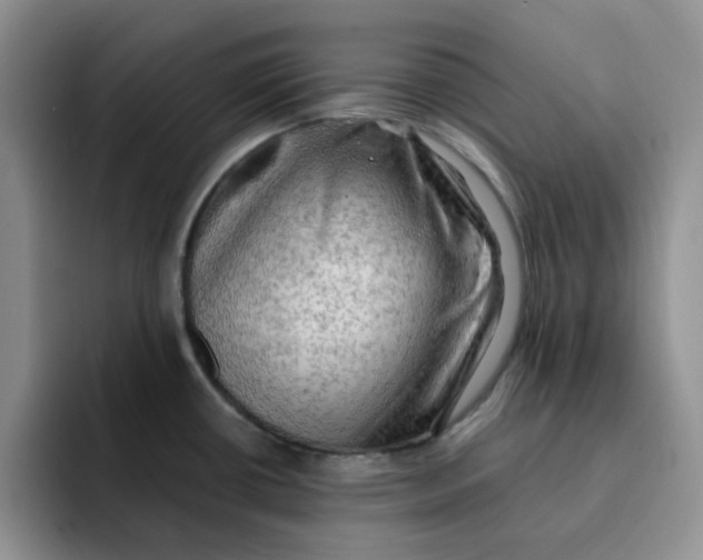 X0000091651434200709201118