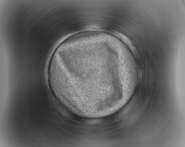 X0000091651435200709201118