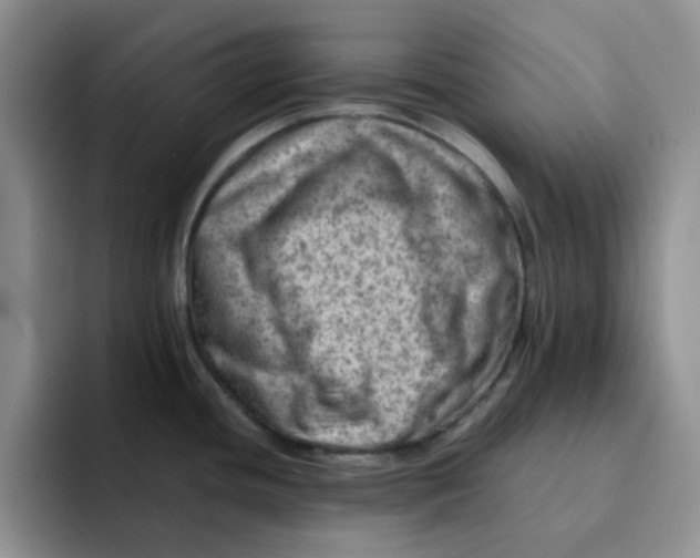 X0000091651436200709201118