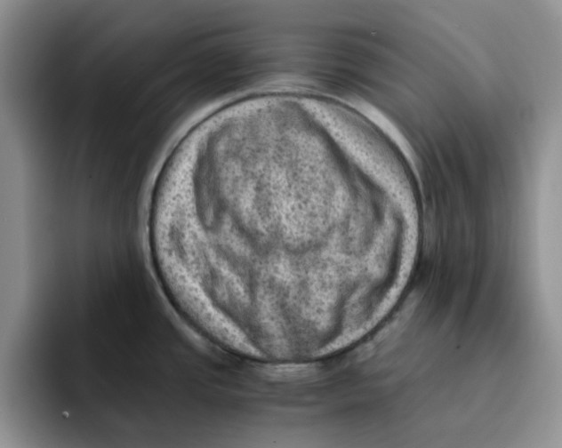 X0000091651437200709201118