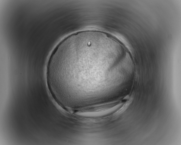 X0000091651438200709201118