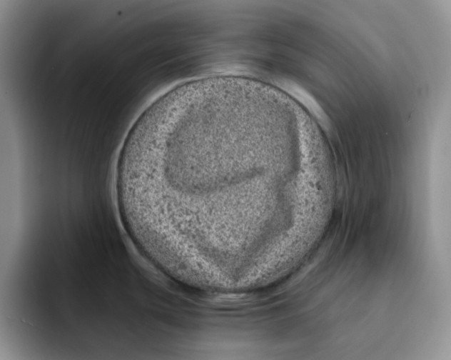 X0000091651439200709201118