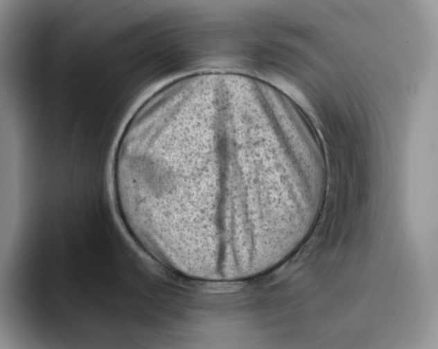 X0000091651440200709201118