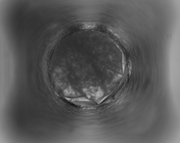 X0000091651441200709201118