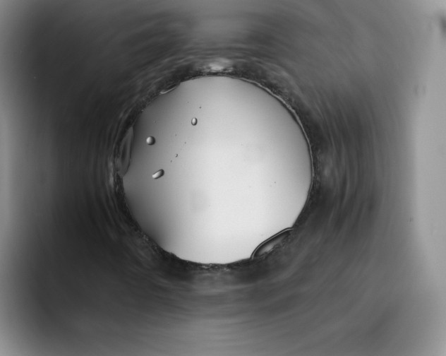 X0000091651442200709201118