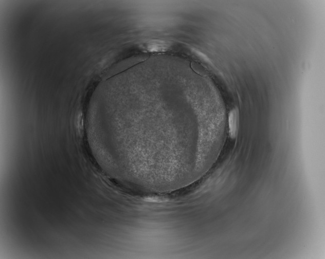 X0000091651443200709201117