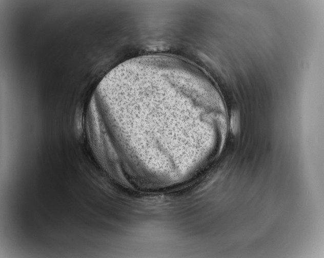 X0000091651444200709201117