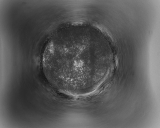 X0000091651445200709201117