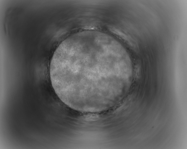 X0000091651446200709201117