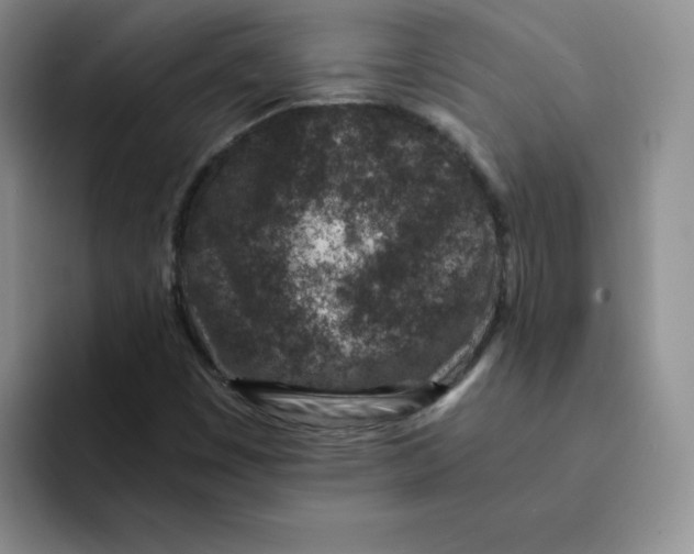 X0000091651449200709201117