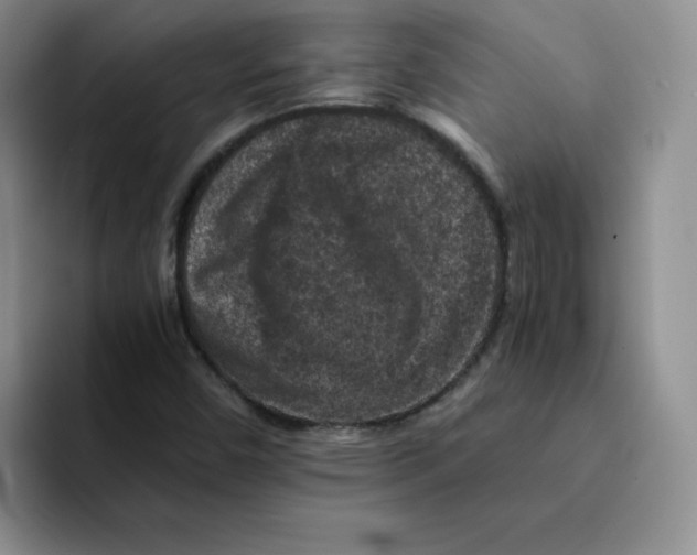 X0000091651450200709201117