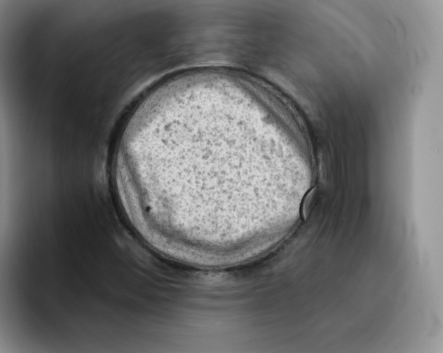 X0000091651452200709201117