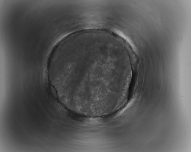 X0000091651453200709201117