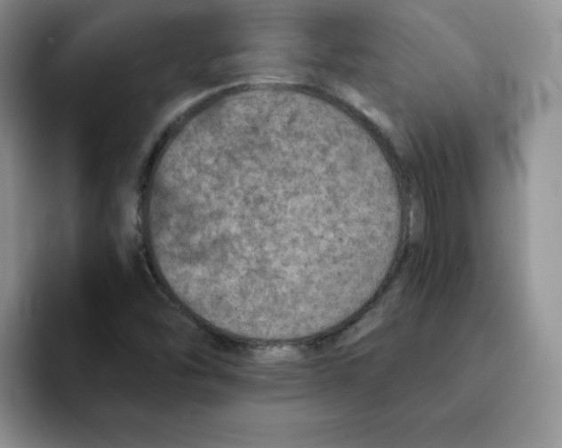 X0000091651454200709201117