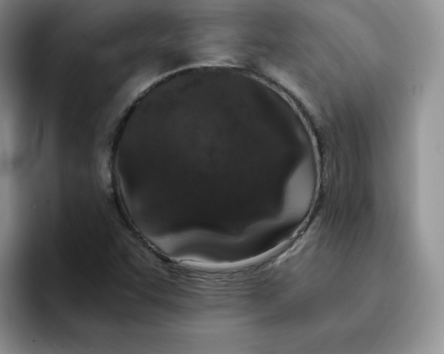 X0000091651455200709201117