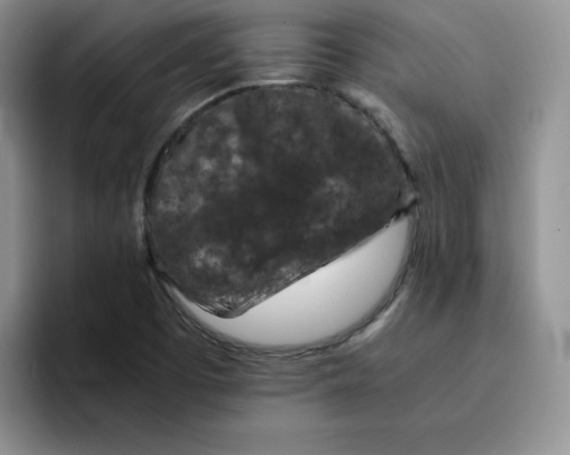 X0000091651457200709201117