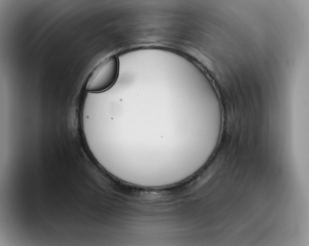 X0000091651458200709201117