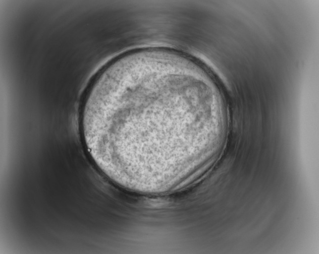 X0000091651460200709201117