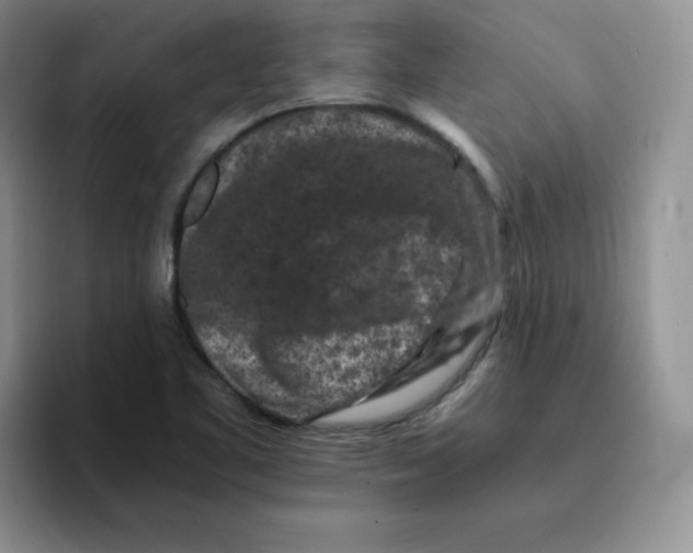 X0000091651461200709201117