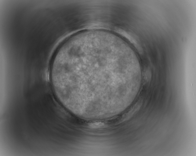 X0000091651462200709201117