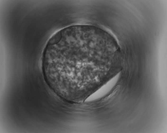 X0000091651463200709201117