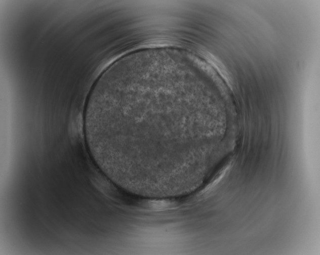 X0000091651465200709201117